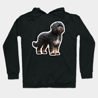 Barbet Hoodie